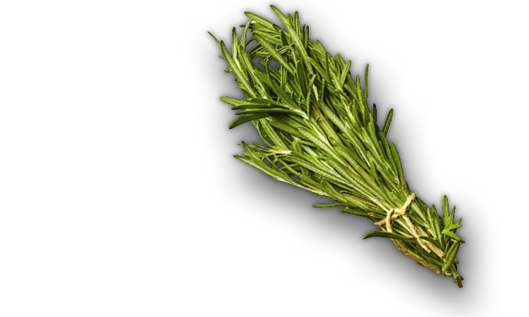burger-broetchen-Guschlbauer-Backwaren-oesterreich-made-in-austria-02